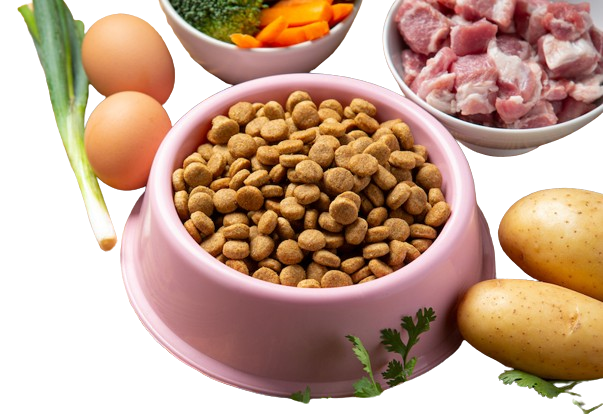 Výhody a nevýhody kombinovaného BARFu v praxi 