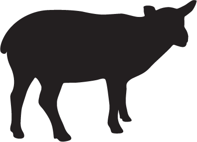 Jehněčí