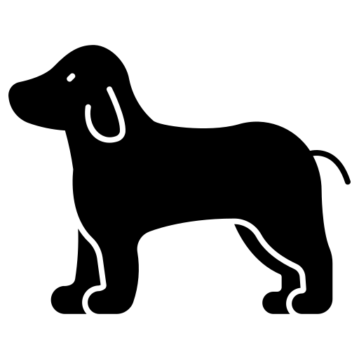 Štěňata a Junioři