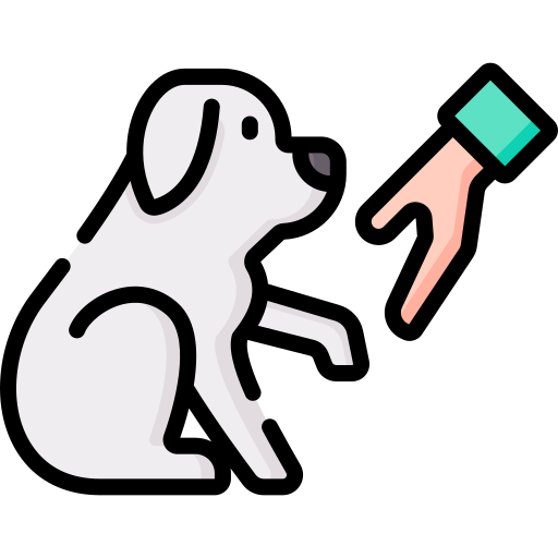 VÝCVIKOVÉ POMŮCKY