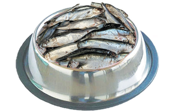 MAX Deluxe Dog šproty celé 400 g - Sokol Falco