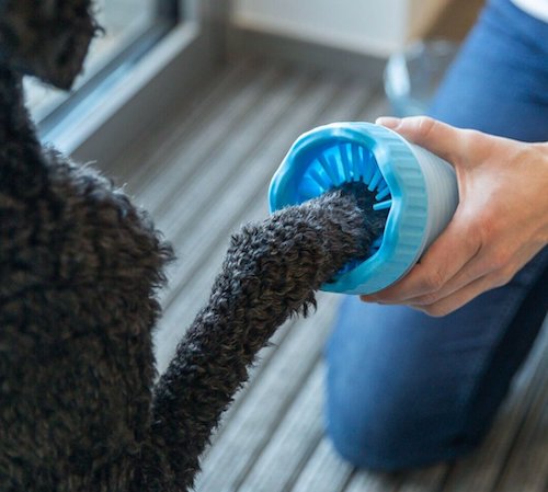 PAW CLEANER - kalíšek k čištění tlapek, silikon/plast, modrá S/M