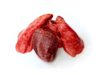 Králičí srdce a plíce 500g - Do psí misky