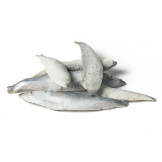 Forbarf | Šprot celý nekuchaný 500g 