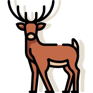 Forbarf | MIX Jelení tanec 500g 