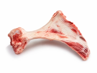 Hovězí morková kost na okus lopatka (cca 50 cm) 1ks - Do psí misky (pouze os. odběr nebo rozvoz Praha)